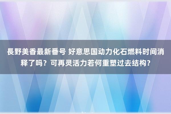 長野美香最新番号 好意思国动力化石燃料时间消释了吗？可再灵活力若何重塑过去结构？