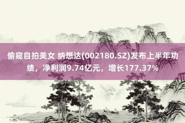 偷窥自拍美女 纳想达(002180.SZ)发布上半年功绩，净利润9.74亿元，增长177.37%