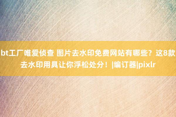 bt工厂唯爱侦查 图片去水印免费网站有哪些？这8款去水印用具让你浮松处分！|编订器|pixlr