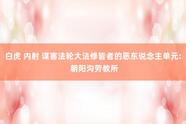 白虎 内射 谋害法轮大法修皆者的恶东说念主单元: 朝阳沟劳教所