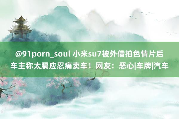 @91porn_soul 小米su7被外借拍色情片后车主称太膈应忍痛卖车！网友：恶心|车牌|汽车