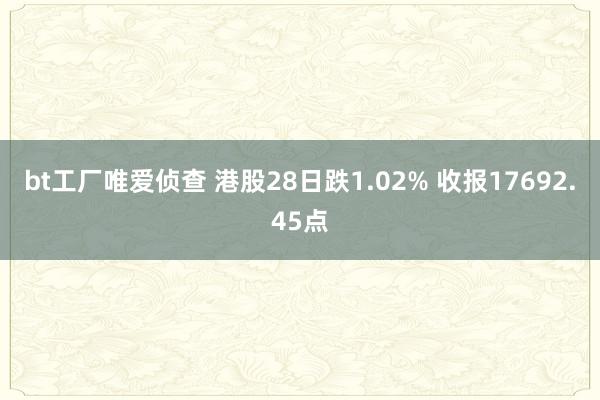 bt工厂唯爱侦查 港股28日跌1.02% 收报17692.45点