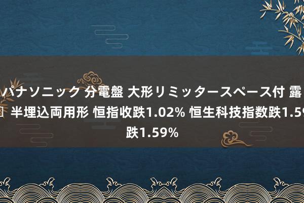 パナソニック 分電盤 大形リミッタースペース付 露出・半埋込両用形 恒指收跌1.02% 恒生科技指数跌1.59%