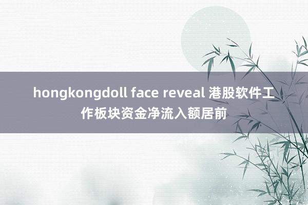 hongkongdoll face reveal 港股软件工作板块资金净流入额居前
