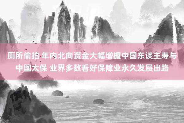 厕所偷拍 年内北向资金大幅增握中国东谈主寿与中国太保 业界多数看好保障业永久发展出路