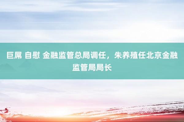 巨屌 自慰 金融监管总局调任，朱养殖任北京金融监管局局长