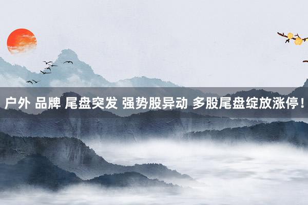 户外 品牌 尾盘突发 强势股异动 多股尾盘绽放涨停！