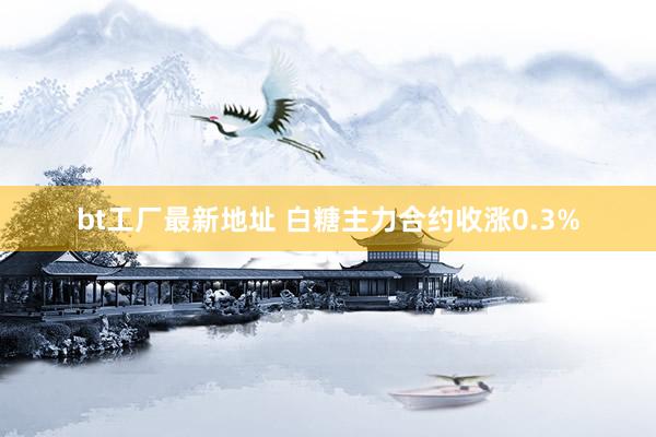 bt工厂最新地址 白糖主力合约收涨0.3%