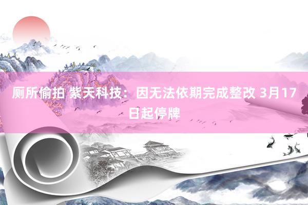 厕所偷拍 紫天科技：因无法依期完成整改 3月17日起停牌