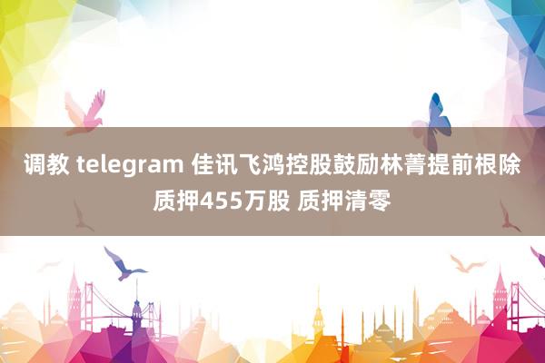 调教 telegram 佳讯飞鸿控股鼓励林菁提前根除质押455万股 质押清零